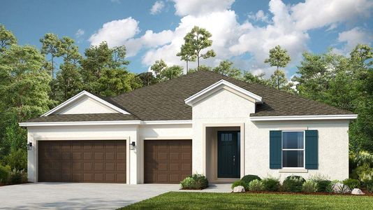 New construction Single-Family house 2311 Overfalls Place, Wesley Chapel, FL 33543 Saint Croix- photo 0