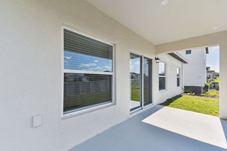 New construction Single-Family house 12227 Hilltop Farms Dr, Dade City, FL 33525 Sentinel- photo 157 157