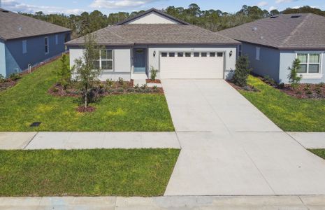 New construction Single-Family house 447 Pine Tree Blvd, Lake Alfred, FL 33850 Chapman- photo 2 2