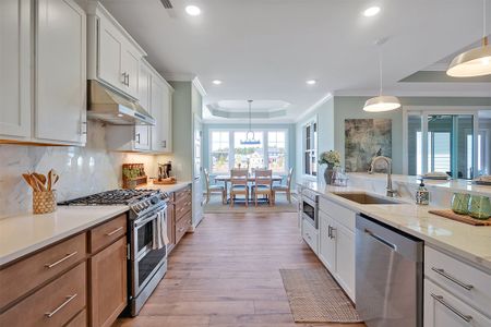 New construction Single-Family house 1125 Rockhill Rd, Castle Hayne, NC 28429 plan Cooper's Bay - image 11