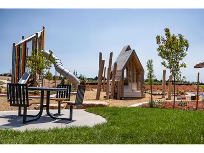 New construction Single-Family house 754 Trumpet Ct, Windsor, CO 80550 - image