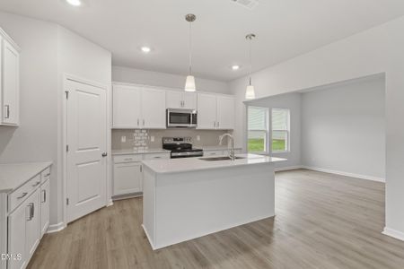 New construction Single-Family house 132 Sagamore Ave, Angier, NC 27501 plan Telfair - image 6