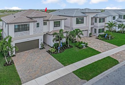 New construction Single-Family house 13147 Feathering Wy, Palm Beach Gardens, FL 33412 plan  Capella - Contemporary - image