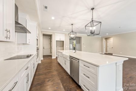 New construction Single-Family house 4024 Red Hill Way, Denver, NC 28037 null- photo 11 11