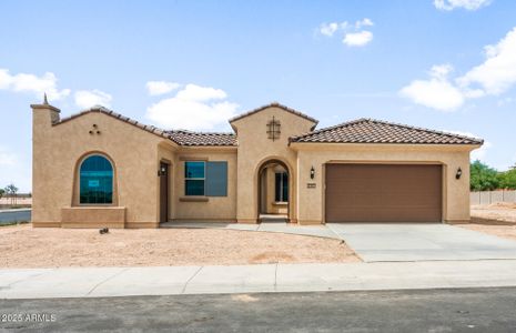 New construction Single-Family house 4396 N Palo Verde Dr, Florence, AZ 85132 plan Endeavor - image