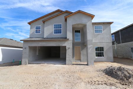 New construction Single-Family house 12176 Hilltop Farms Dr, Dade City, FL 33525 Malibu- photo 80 80