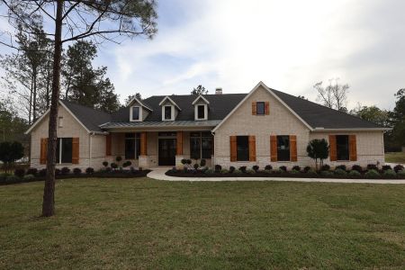 New construction Single-Family house 7745 Dog Wood Acres Dr, Montgomery, TX 77316 - image