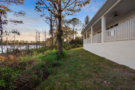 New construction Single-Family house 177 Rosedale Dr, Deltona, FL 32738 null- photo 10 10