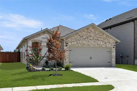 New construction Single-Family house 1641 Meadow Crest Dr, Aubrey, TX 76227 plan Cottonwood - image