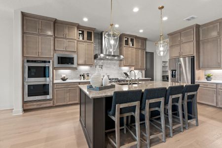 Esperanza - 80' & 90' by Drees Custom Homes in Boerne - image 6