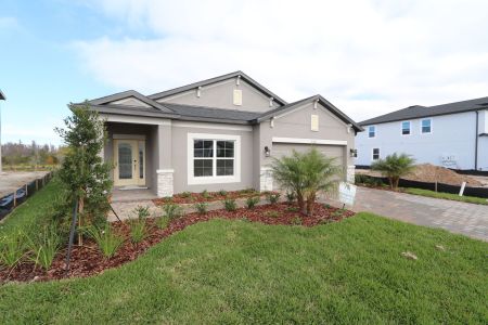 New construction Single-Family house 31229 Denham Ridge Ln, Wesley Chapel, FL 33545 Newport II- photo 82 82