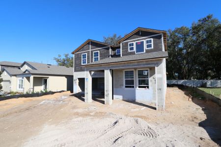 New construction Single-Family house 11984 Hilltop Farms Dr, Dade City, FL 33525 Casanova- photo 56 56