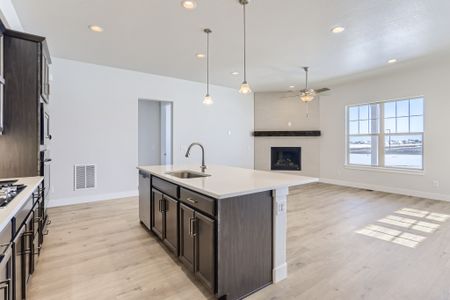 New construction Single-Family house 8405 S Winnipeg Ct, Aurora, CO 80016 null- photo 11 11