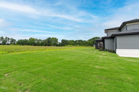 New construction Single-Family house 130 Broadleaf Ln, Louisburg, NC 27549 - image