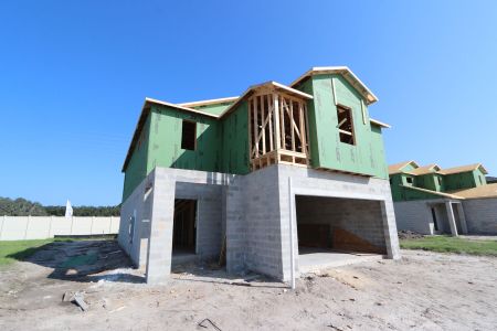 New construction Single-Family house 3039 Misty Marble Dr, Zephyrhills, FL 33540 Castellana- photo 3 3