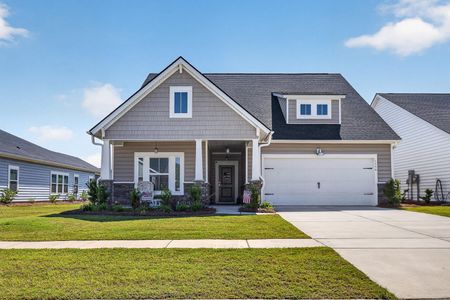 New construction Single-Family house 1359 Locals St, Summerville, SC 29485 plan Collins - image