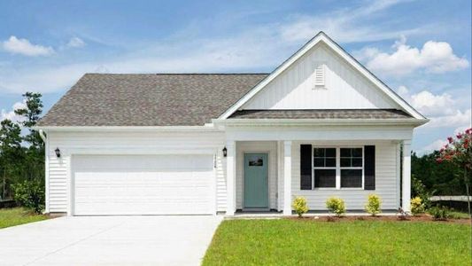 New construction Single-Family house 5322 Areca Rd, Castle Hayne, NC 28429 plan Cali - image