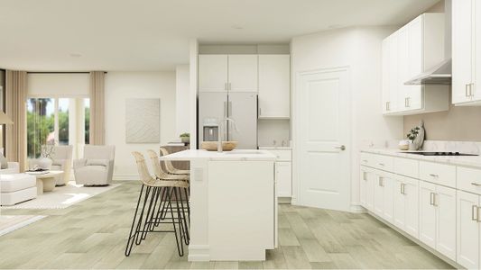 New construction Single-Family house 31683 Splash Isle, San Antonio, FL 33576 plan Dayspring II* - image 15