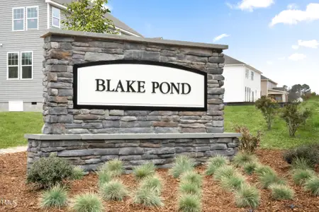 New construction Single-Family house 15 Celtic Ln, Lillington, NC 27546 plan Stonefield - image