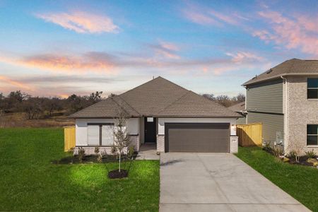 New construction Single-Family house 13504 Gray Landing Dr, Elgin, TX 78621 plan Young - image