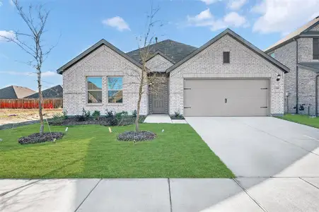 New construction Single-Family house 1509 Etosha Dr, Royse City, TX 75189 plan Pizarro - image