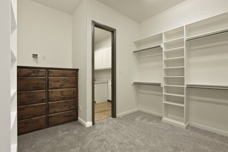 New construction Single-Family house 131 Spring Valley Rd, Paradise, TX 76073 plan The Hunter - image 13