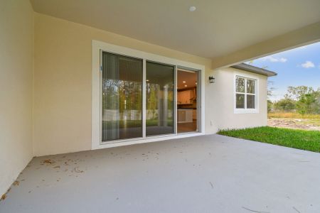 New construction Single-Family house 20219 Oriana Loop, Land O' Lakes, FL 34638 Corina  III- photo 165 165