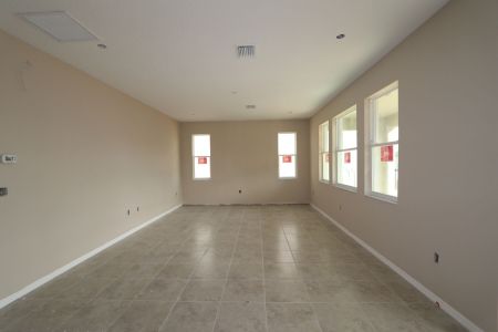 New construction Single-Family house 38326 Tobiano Loop, Dade City, FL 33525 Casanova- photo 89 89