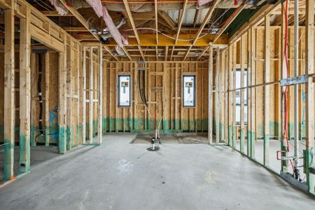 New construction Single-Family house 421 Calabrese Ct, Fairview, TX 75069 null- photo 17 17