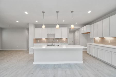 New construction Single-Family house 15111 Statice Trl, Houston, TX 77044 plan PLAN 254 - image 11