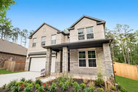 New construction Single-Family house 106 Rosa Peace Ter, Willis, TX 77318 plan Savannah - image