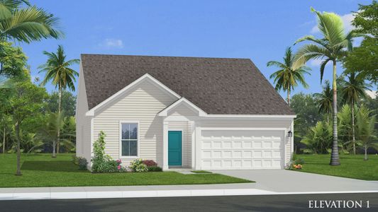 New construction Single-Family house 870 Old Station Pointe, Angier, NC 27501 plan Avondale - image