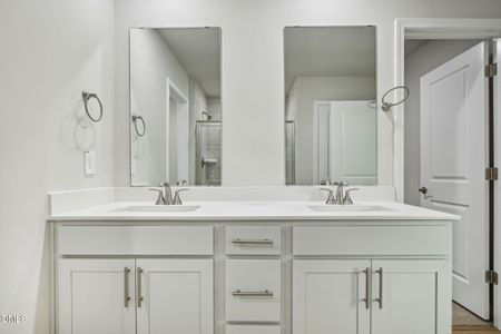 New construction Single-Family house 168 Thistle Patch Pl, Angier, NC 27501 plan Chatham - image 11