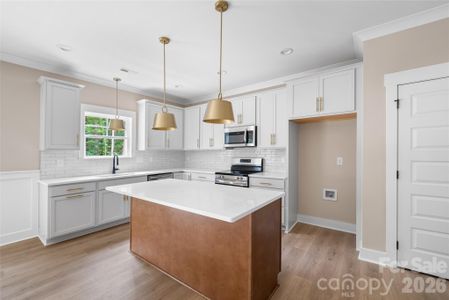 New construction Single-Family house 5805 Stanfield Valley Trl, Unit 13, Stanfield, NC 28163 - image 9