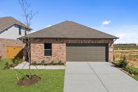New construction Single-Family house 19062 Cetera Villa Dr, Hockley, TX 77447 plan Ellis - image