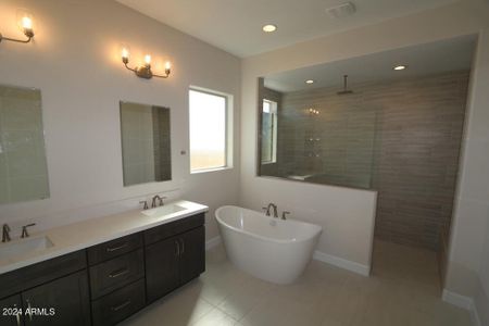 New construction Single-Family house 9721 S Gold Stone Trl, Apache Junction, AZ 85120 The Ironview- photo 4 4