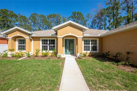 New construction Single-Family house 12 Esperanto Drive, Palm Coast, FL 32164 - photo 0