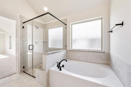 New construction Single-Family house 324 Bowrider Ln, Granbury, TX 76049 plan Carolina - image 17