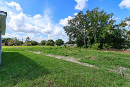 New construction Single-Family house 132 Carver Dr, Lake Wales, FL 33859 null- photo 16 16