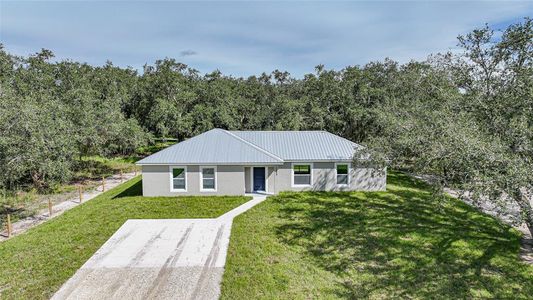 New construction Single-Family house 3082 Ne Top Ter, Arcadia, FL 34266 - image