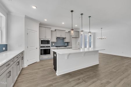 New construction Single-Family house 9152 Dupree Meadow Dr, Unit 12, Angier, NC 27501 - image 10