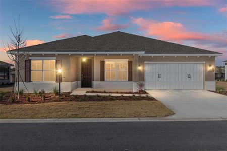 New construction Single-Family house 10282 Sw 105Th Ter, Ocala, FL 34481 plan Ariana - image