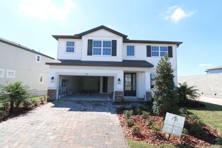 New construction Single-Family house 5707 Maydale Ave, Wesley Chapel, FL 33545 Sonoma II- photo 139 139