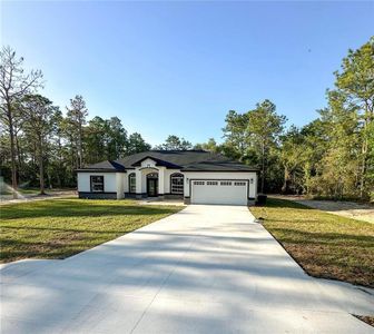 New construction Single-Family house 13619 Sw 78Th Pl, Dunnellon, FL 34432 null- photo 0