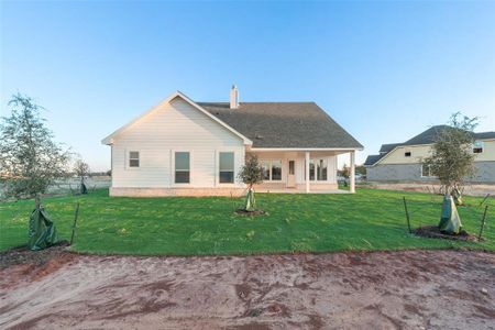 New construction Single-Family house 445 Guadeloupe Ln, Springtown, TX 76082 null- photo 31 31