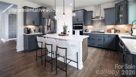 New construction Single-Family house 1011 Tundra Swan Dr, Indian Trail, NC 28079 - image