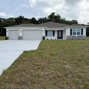 New construction Single-Family house 380 E Dusty Ct, Hernando, FL 34442 - image