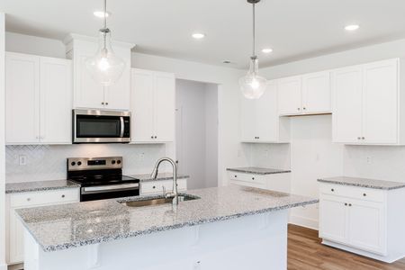 New construction Single-Family house 27 Cypress Moss Ct, Lillington, NC 27546 plan Summit - image 6