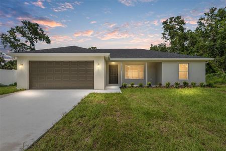 New construction Single-Family house 497 Fisher Wy, Ocklawaha, FL 32179 plan Lynnette  - image