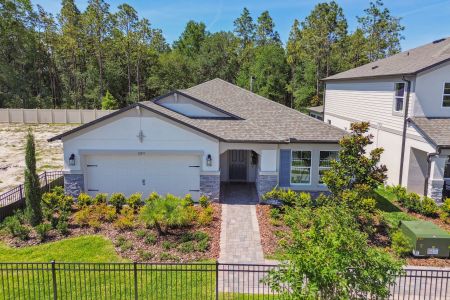 New construction Single-Family house 12971 Castle Oaks Dr, Hudson, FL 34669 plan Maui - image